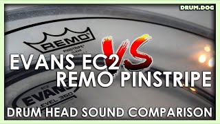 Evans EC2 VS Remo Pinstripe  Tom Head Sound Comparison  Drum Dog [upl. by Mosi]