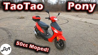 2018 Taotao Pony 50cc Moped – Ownership Update [upl. by Cowen125]