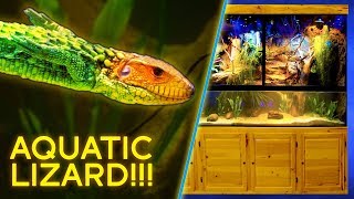 Aquatic Lizard — Giant 7000 Paludarium [upl. by Adnahsed656]