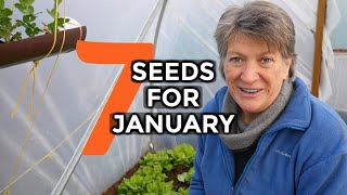 What to sow in JANUARY  7 Easy To Grow Crops [upl. by Allebara]