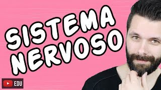 SISTEMA NERVOSO  FISIOLOGIA  Aula  Biologia com Samuel Cunha [upl. by Sparkie]