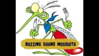 Mosquito fly sound [upl. by Kimura]