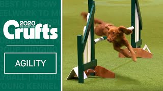 Agility  Championship Final  Crufts 2020 [upl. by Sapers337]