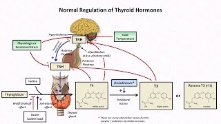 Side Effects of NSAIDs  Pharmacology [upl. by Mohl]