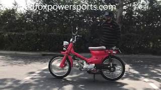 Redfoxpowersports review 50cc RTX Scooter Moped [upl. by Adorl]