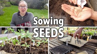 Sowing Seeds Absolutely Everything You Need to Know [upl. by Kendricks]