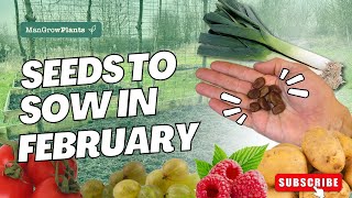 Seeds to Sow in February [upl. by Hodosh]