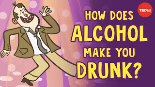 How does alcohol make you drunk  Judy Grisel [upl. by Ylicis]