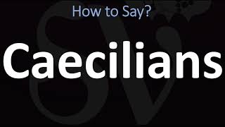 How to Pronounce Caecilians CORRECTLY [upl. by Churchill]