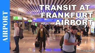 TRANSIT WALK AT FRANKFURT Airport FRA Terminal 1  Connection Flight Transfer Arriving amp Departing [upl. by Clarisa109]